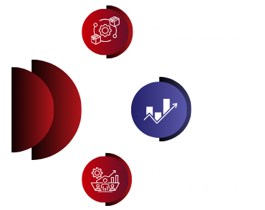 Oracle Solutions Visual